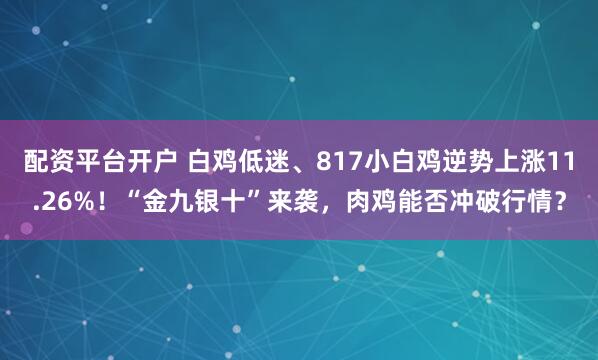 配资平台开户 白鸡低迷、817小白鸡逆势上涨11.26%！“金九银十”来袭，肉鸡能否冲破行情？