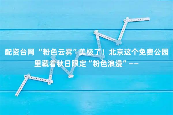 配资台网 “粉色云雾”美极了！北京这个免费公园里藏着秋日限定“粉色浪漫”——