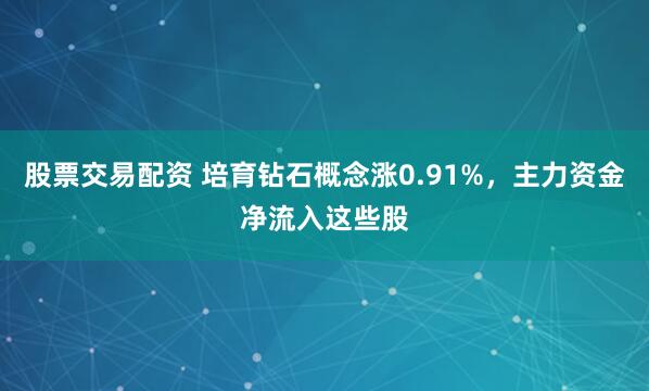 股票交易配资 培育钻石概念涨0.91%，主力资金净流入这些股